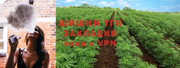 спайс Бородино
