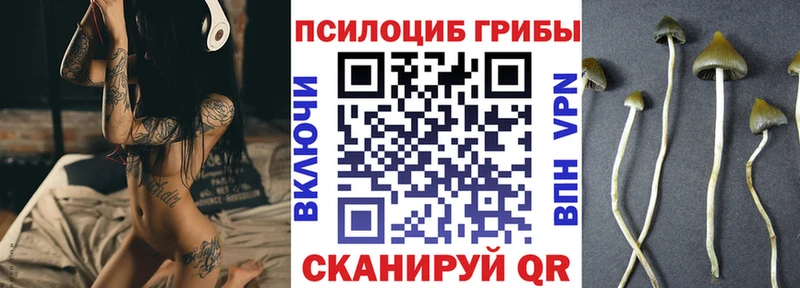 Псилоцибиновые грибы Cubensis  Купить  Сасово 